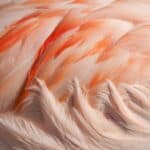 travis leery e4bknmb31fa unsplash