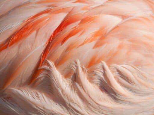 travis leery e4bknmb31fa unsplash