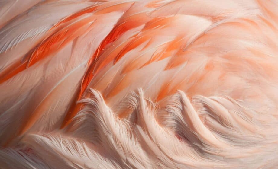 travis leery e4bknmb31fa unsplash