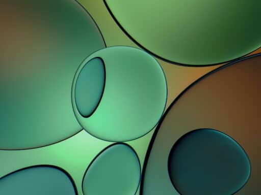 shubham dhage ciwzpys mk unsplash