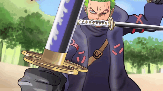 One Piece 1107 WHERE IS ZORO?