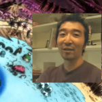 The Unraveling Mysteries of Hunter × Hunter's End: A Deep Dive into What Could Have Been