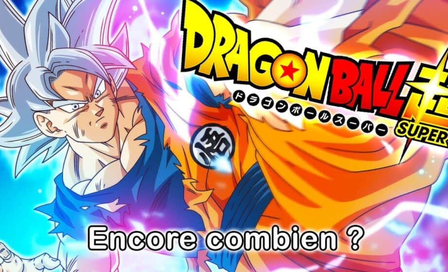 DRAGON BALL SUPER: THE BREAK AND RETURN DETAILS OFFICIALLY ANNOUNCED!