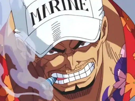 Akainu's Controversial Dialogue in One Piece Chapter 1116